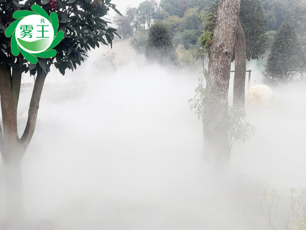 霧王霧森系統噴霧造景，點亮紹興一咖啡館湖畔朦朧詩意
